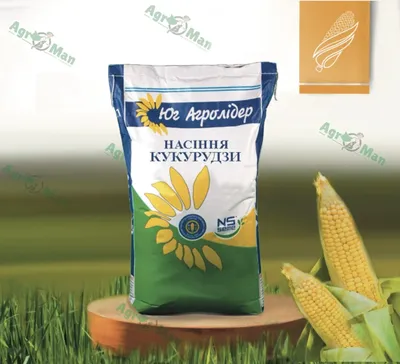 АЭ Кукуруза. День 1: В гостях у Дробязко или кукуруза на песках —  Latifundist.com