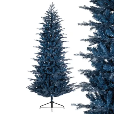 Ель колючая голубая \"Кэйбаб\" (Picea pungens Glauca Kaibab) - Хвойные  растения весна 2024 года - купить туи, сосны, ели.