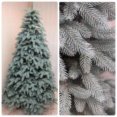 Елка 1,8м Arctic pine Арктическая сосна зелено-голубая (id 112810344),  купить в Казахстане, цена на Satu.kz
