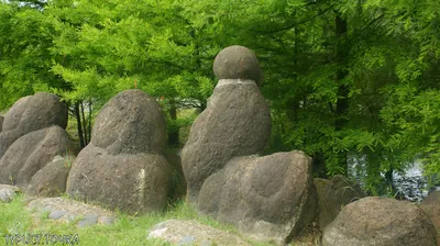 Акварелька: Дендрологический парк и Сад камней в пос. Гончарка