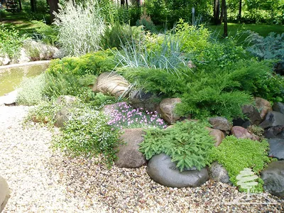 Для дачи | Sensory garden, Water garden, Garden