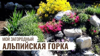 Создание альпийской горки в Краснодаре - «Garden Land»