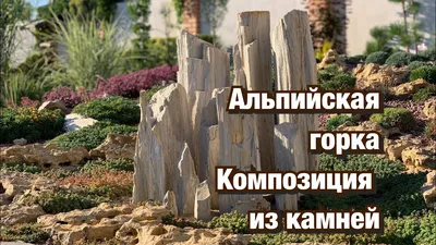 Многолетние цветы для альпийской горки - ᐉ Многолетние цветы для альпийской  горки: советы по посадке и выращиванию- «Блог Флориум.юа» 2024