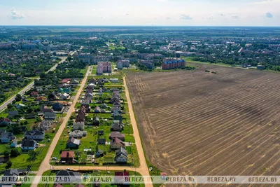 КРАСНЫЕ КАЗАРМЫ В БЕРЕЗЕ — Заказник “Споровский”