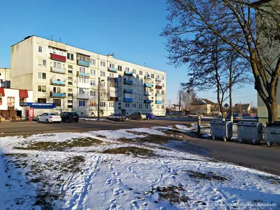 Город береза фото фото
