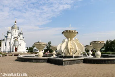 Тутэйшы гид. Всё, что надо знать туристу в городе Берёза - Natatnik