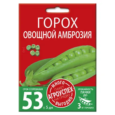 https://www.belnovosti.by/sad-i-ogorod/kakie-rasteniya-posadit-ryadom-s-gorohom-sekrety-sovmestnogo-vyrashchivaniya