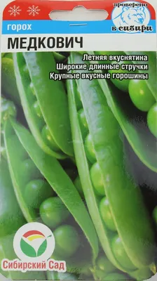 Зеленая Гороховая Овощная Фасоль Цветет На Грядке В Солнечный Летний День  Стручки Зеленого Горошка На Ветке — стоковые фотографии и другие картинки  Боб - iStock