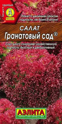 Гранатовый сад. Таджикистан | Пикабу