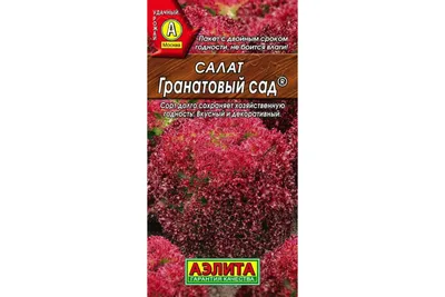 Ресторан «Гранатовый сад», Москва: цены, меню, адрес, фото, отзывы —  Официальный сайт Restoclub