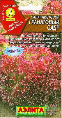 Гранатовый сад, кафе, ул. Свободы, 122А, Нижний Новгород — Яндекс Карты