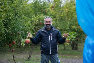 Отзыв о Семена Аэлита салат листовой Гранатовый сад | Необычный и вкусный