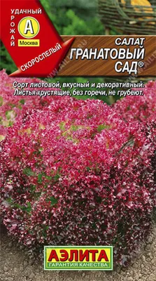 Гранатовый сад. Таджикистан | Пикабу