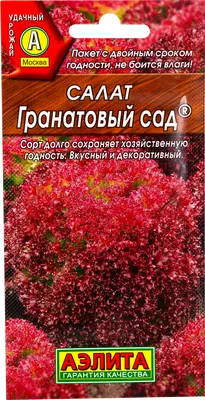 Ресторан Гранатовый сад на улице Губайлово: меню и цены, отзывы, адрес и  фото - официальная страница на сайте - ТоМесто Москва