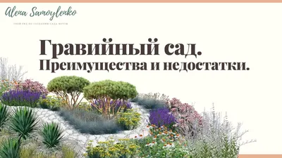 Гравийный сад