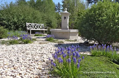 Гравийный сад с колодцем Санкт-Петербург спб | GardenMaster.RU