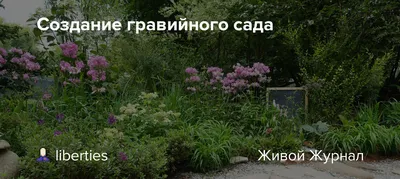 Школа ландшафтного дизайна. Урок двадцатый: гравийный сад