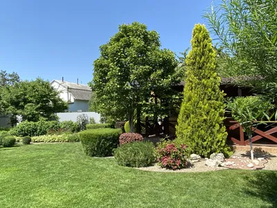Проект недели: Пейзажный сад от телеведущей | Houzz Россия