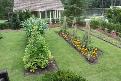 Огород в саду | ландшафтный дизайн с fitonia.by