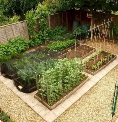 Как избежать грустного вида огородных грядок? 15 примеров и рекомендаций  огорода с дизайном. | Дизайн Малина | Дзен