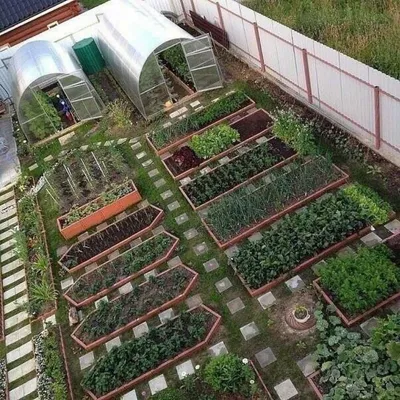 Высокие грядки своими руками: технология изготовления | Моя дача | Vege  garden ideas, Patio landscaping, Backyard garden