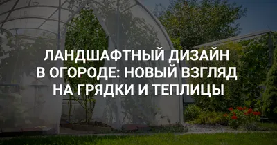 Никаких грязных грядок! Превратите огород в часть ландшафтного дизайна