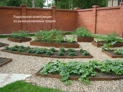 Красивый огород своими руками: стильные грядки — это просто | Дизайн  овощного огорода, Маленькие сады, Сад из деревянных паллет