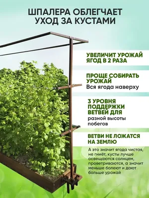 Преимущества вертикальных грядок