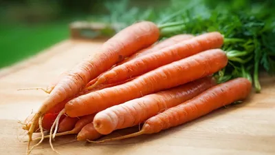 5 секретов идеальной моркови | На грядке (Огород.ru)