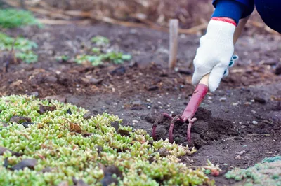 🌍Как улучшить почву на садовом участке. Как сделать компост