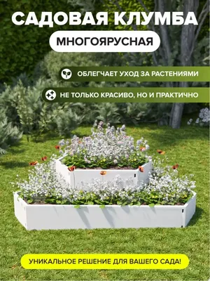 Паллетные Грядки С Цветами И Травами В Теплице — стоковые фотографии и  другие картинки Без людей - Без людей, Ботаника, Горизонтальный - iStock