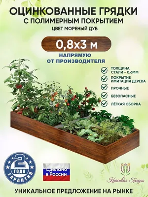 Цветы на грядке - красивые фото
