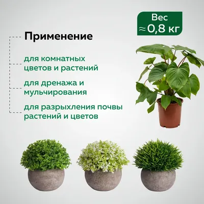 Клумба для цветов из бетона KAVKA серая 59х35х35 см 55 л купить недорого в  интернет-магазине товаров для сада Бауцентр