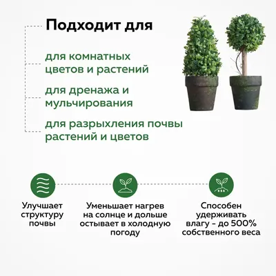 Клумбы и цветники из летников
