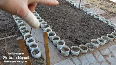 Грядки на даче из бутылок | Садовые поделки, Идеи для садового дизайна,  Клумбы