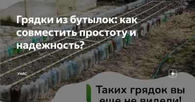 Для чего нужны бутылки с водой на грядках