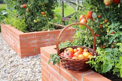 Высокая грядка под камень, клумбы, бор, Киев: Другое на Agronet