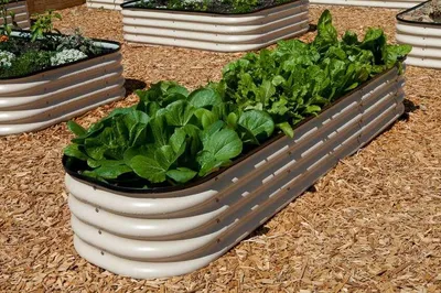 Грядки для кукольного домика. Масштаб 1:12 в интернет-магазине Ярмарка  Мастеров по цене 1100 ₽ – QGAN2RU | Мини растения и цветы, Волгоград -  доставка по России