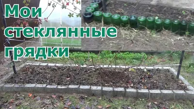 БОРДЮР ИЗ ПЛАСТИКОВЫХ БУТЫЛОК МИНИ ЗАБОР ДЛЯ ГРЯДОК ЦВЕТНИКОВ/РАБОТАЕТ  ГОДАМИ@obovsemsmarusya - YouTube