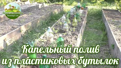 15 идей, как можно использовать пластиковые бутылки на даче | Вдохновение  (Огород.ru)