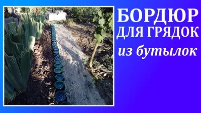 6 дизайнов грядок на даче: лучше, чем у соседа