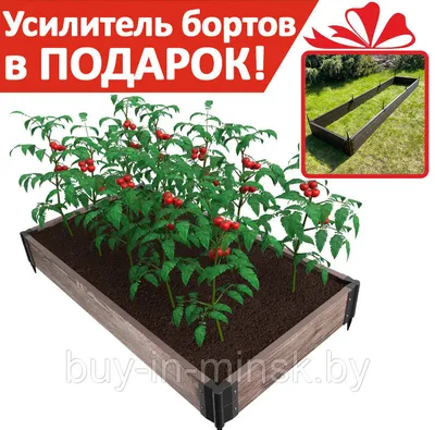 Где приобрести садовую плитку и ограду для грядок?