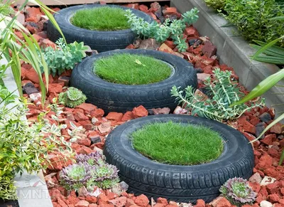 Pin by basyc on Garden ideas | Diy garden projects, Vegetable garden  design, Tire garden