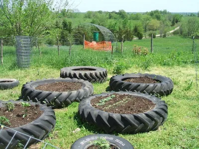 Грядки из шин для сада и огорода (74 фото)