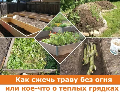 Как сделать красивые грядки на даче – новости компании FINGARDEN