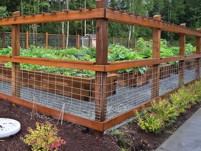 Как сделать красивые грядки на даче – новости компании FINGARDEN