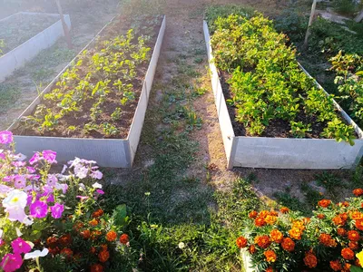 Как сделать высокие грядки: высокие грядки на даче - Agro-Market24