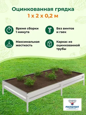Как правильно сделать грядки на даче и сочетать овощи | GreenMarket