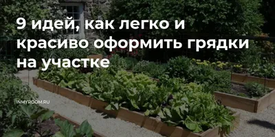 Варіанти оформлення грядок на городі