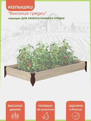 Тридцать превосходных идей, как огородить грядки на садовом участке в 2023  г | Огород, Садовые ограждения, Выращивание овощей